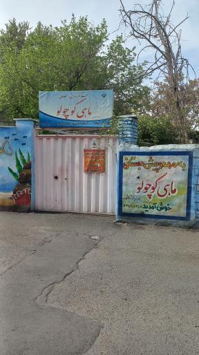 مهد کودک ماهی کوچولو 