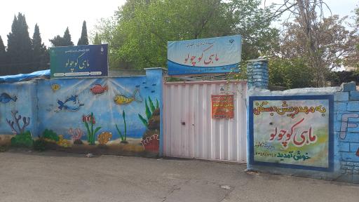مهد کودک ماهی کوچولو 