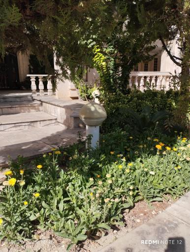 عکس مجتمع صدف