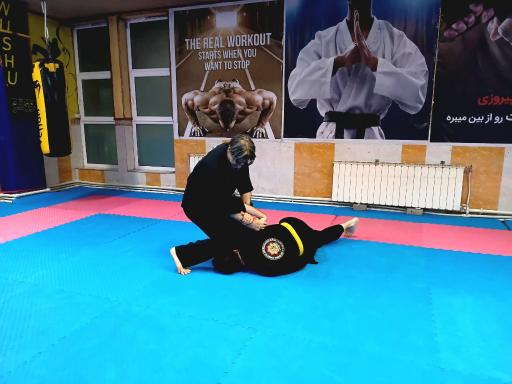 عکس باشگاه دفاع شخصی تبریز (شعبه 2)