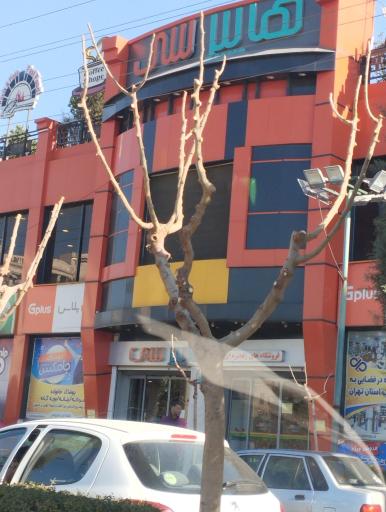 عکس پوشاک جامکس