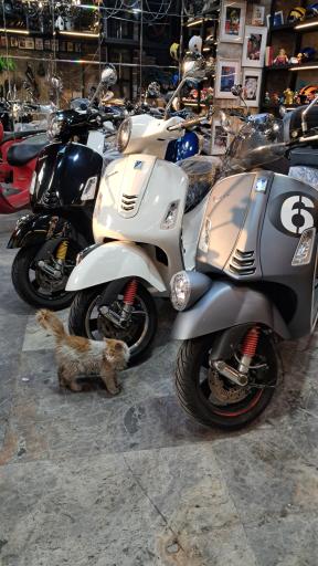 عکس مجموعه تعمیرگاهی نمایشگاهی 946