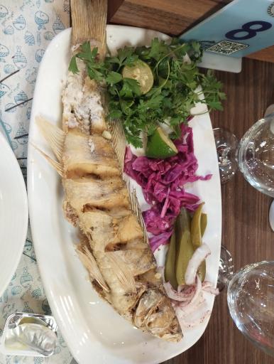 عکس رستوران قصر ماهی