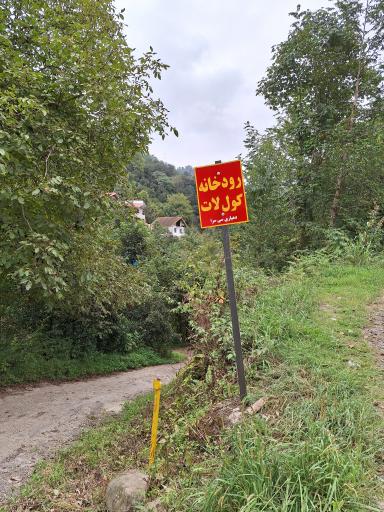 عکس جنگل کول لات