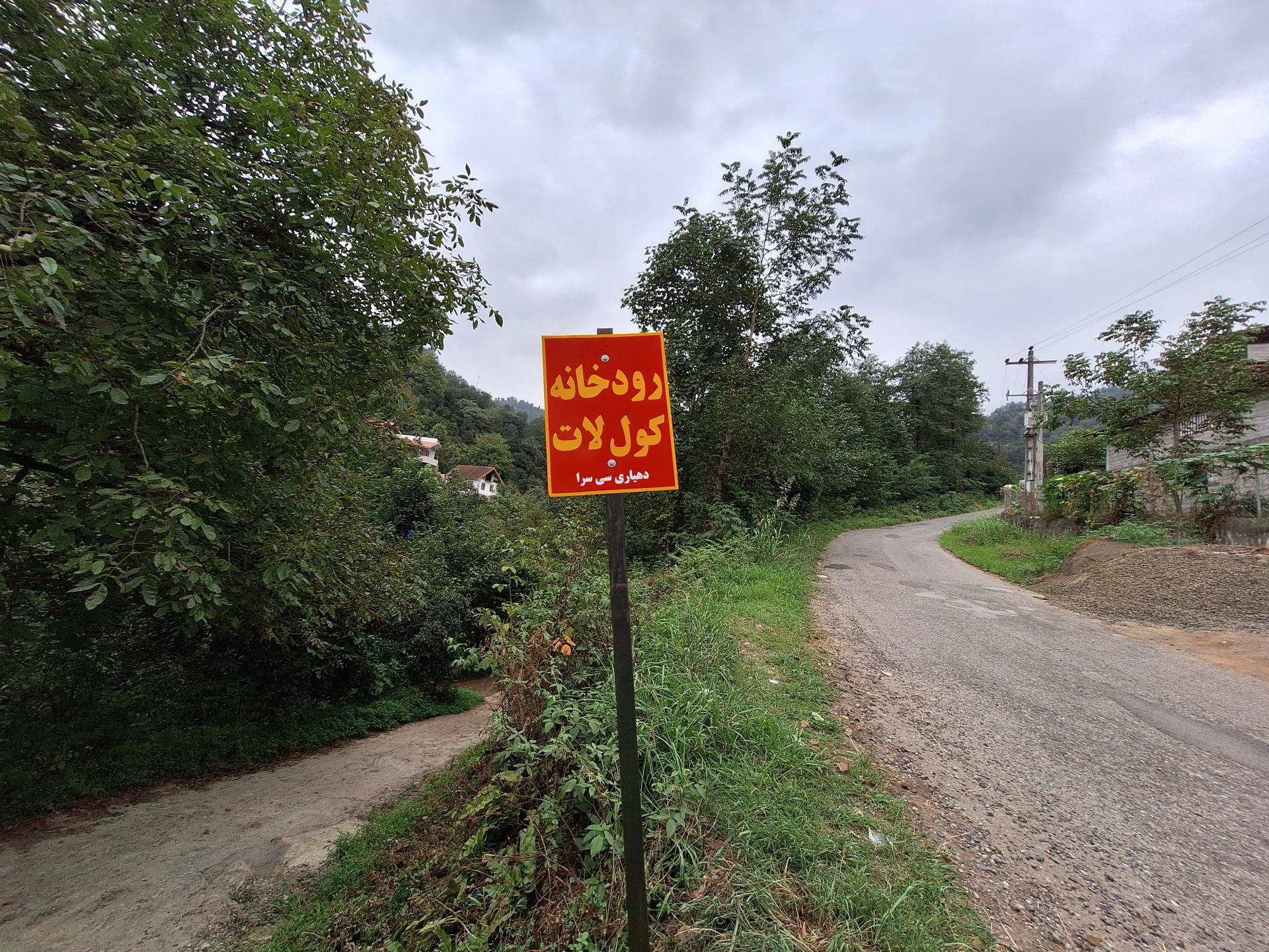 عکس جنگل کول لات