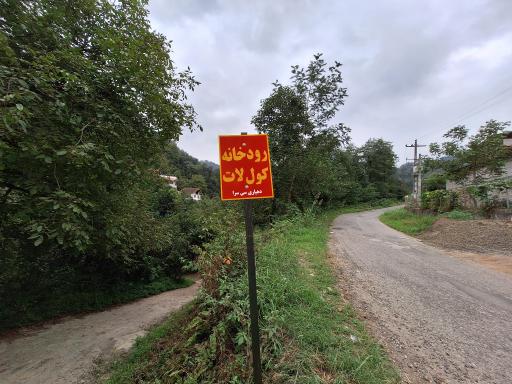 عکس جنگل کول لات