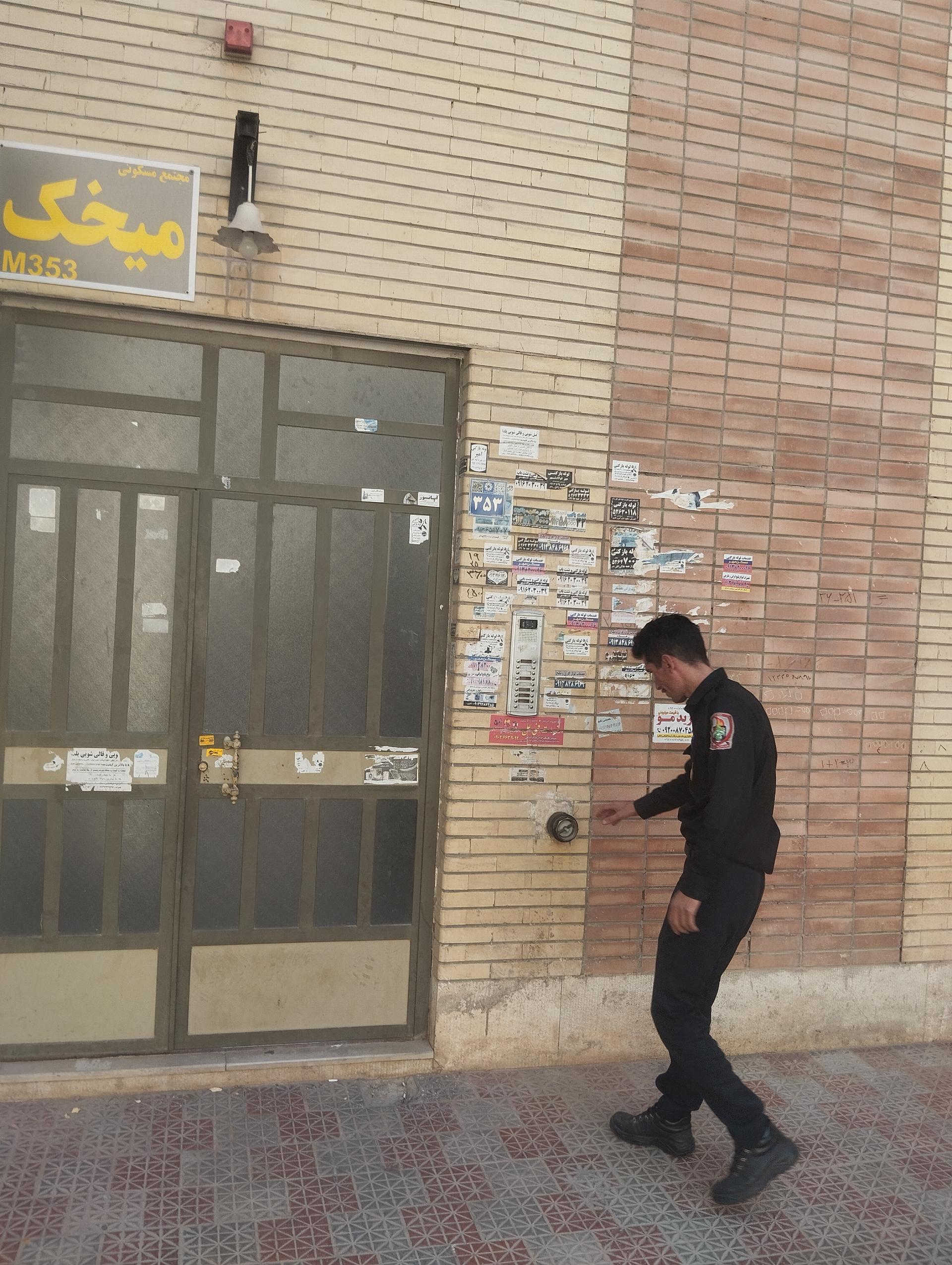 عکس مجتمع میخک ۳۵۳