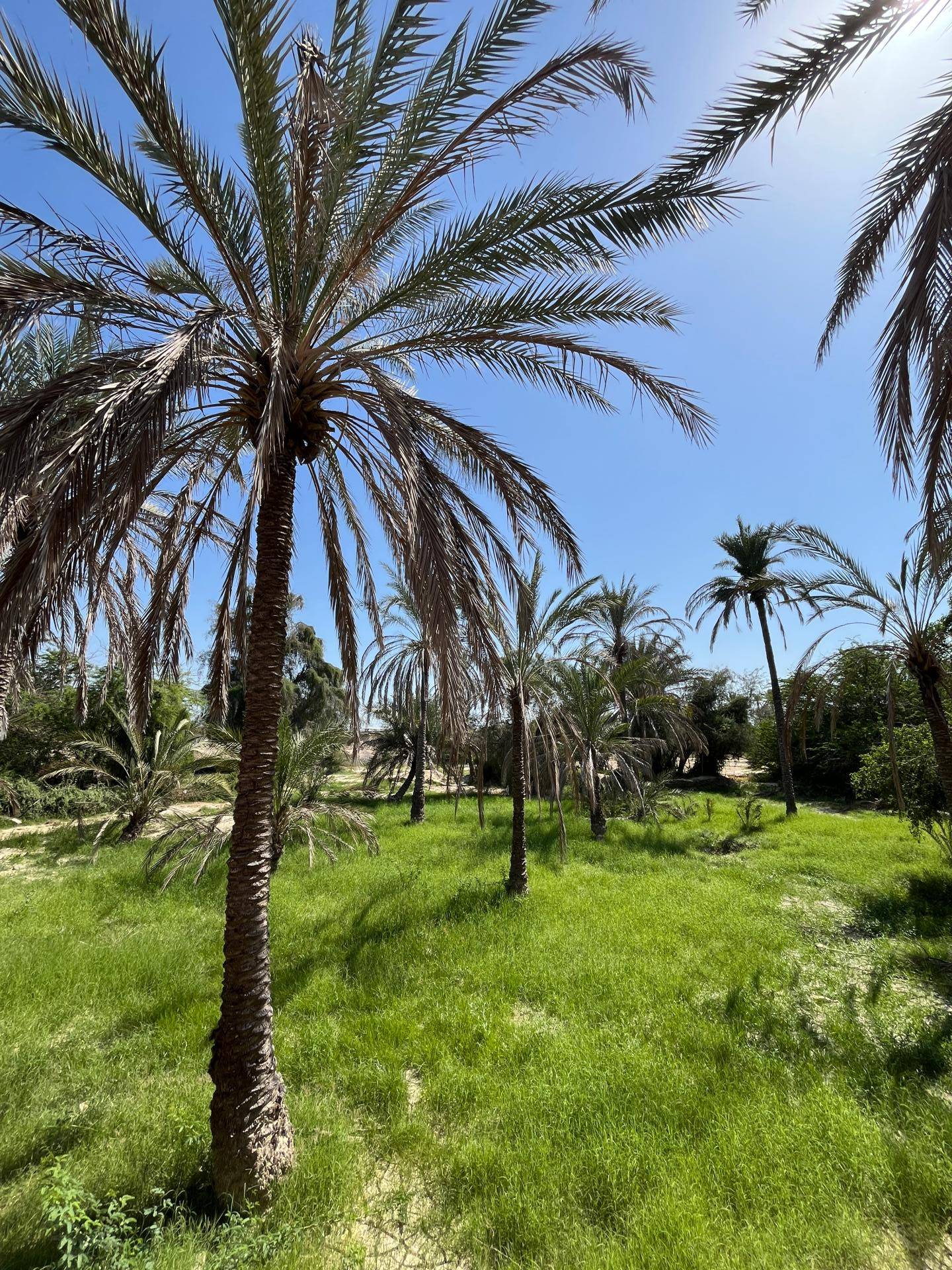 عکس عمارت خلفان