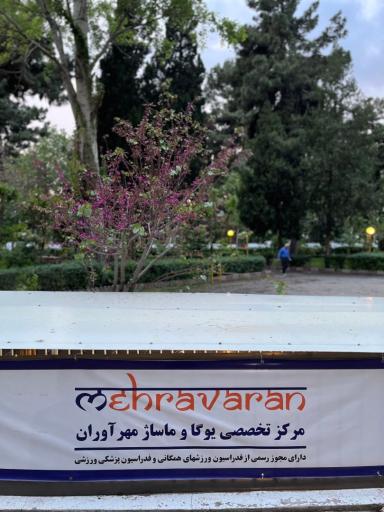 عکس باشگاه یوگا مهرآوران
