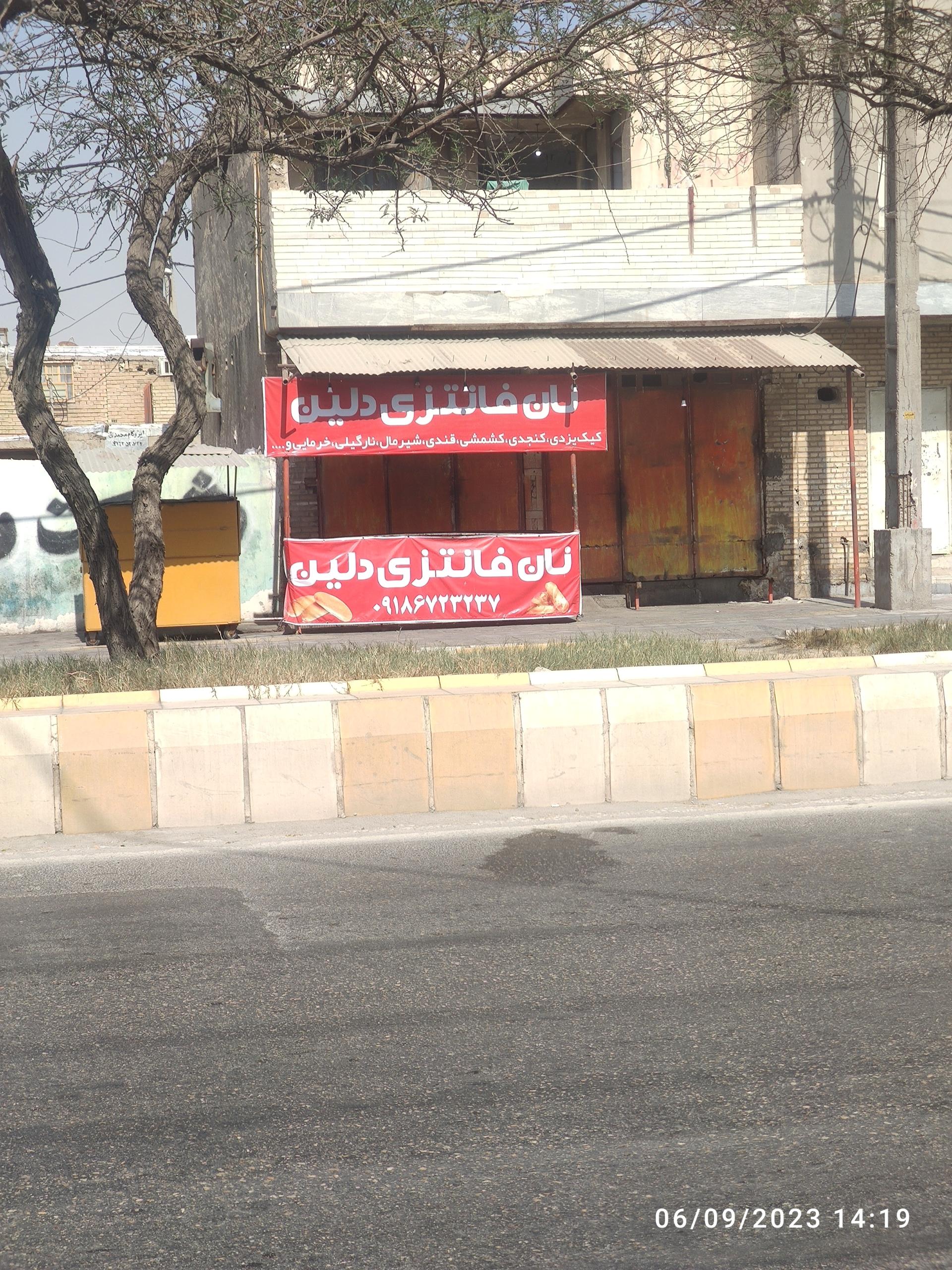 عکس نان فانتزی دلین