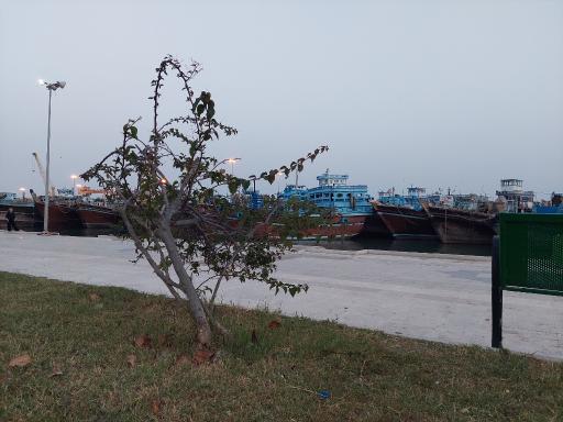 عکس سواحل زیبای گناوه