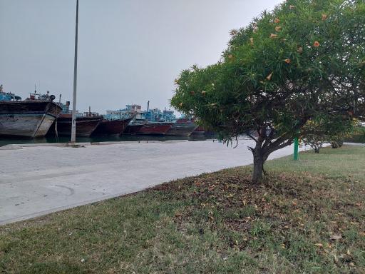عکس سواحل زیبای گناوه