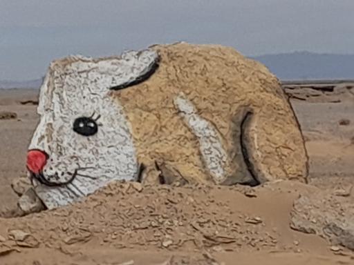 عکس اقامتگاه بومگردی شالیز