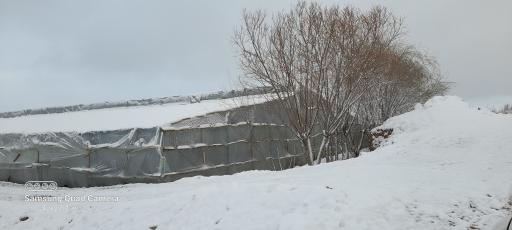 عکس اقامتگاه بومگردی شالیز