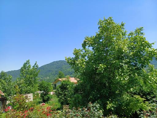 عکس اقامتگاه بهاری