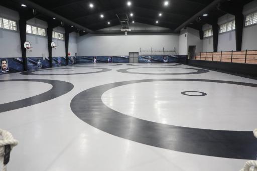 عکس مجموعه ورزشی شهید جواد شاعری (گل گندم)