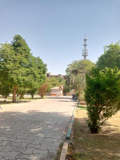 عکس پارک شهید صباغیان (باغ معین)