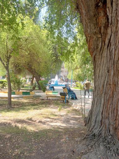 عکس پارک شهید صباغیان