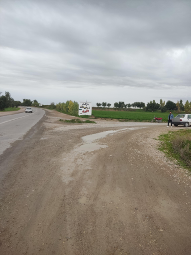 عکس شرکت زرین دانه اکبری