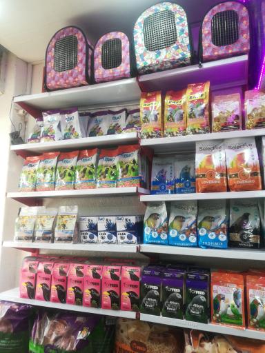 عکس پرنده فروشی سیمرغ