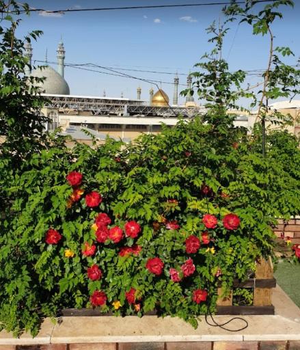 عکس کافه قلیان سرای صادقیه