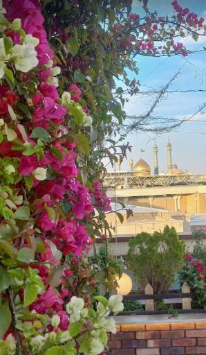 عکس کافه قلیان سرای صادقیه