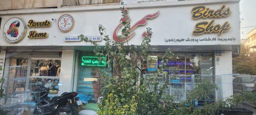 عکس پرنده فروشی سیمرغ