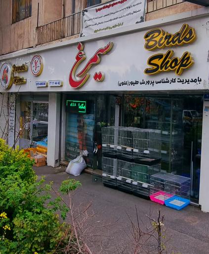عکس فروشگاه سیمرغ علوی