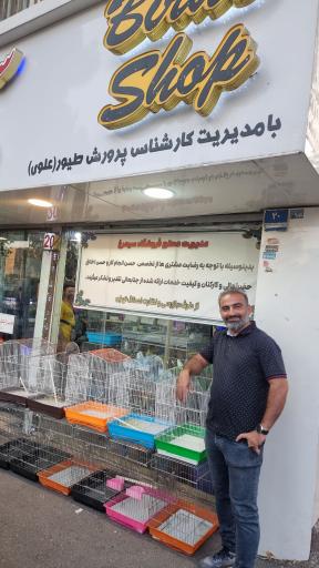 عکس فروشگاه سیمرغ علوی