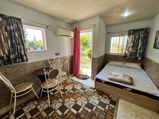 عکس متل خورشید