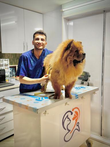 عکس کلینیک دامپزشکی دکتر شفائی