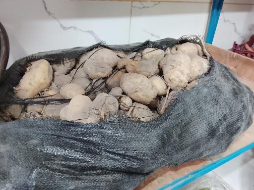 عکس میوه عباس زاده