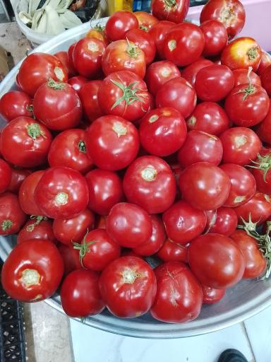 عکس میوه عباس زاده