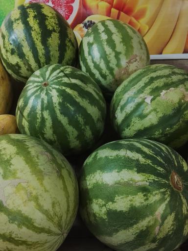 عکس میوه عباس زاده
