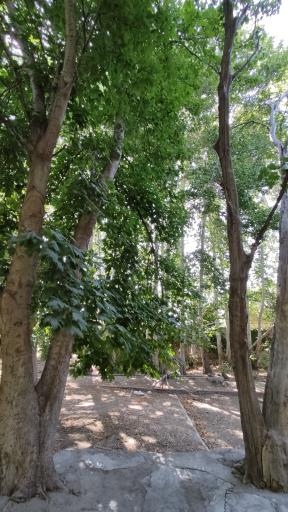 عکس کوشک مرتضی خان