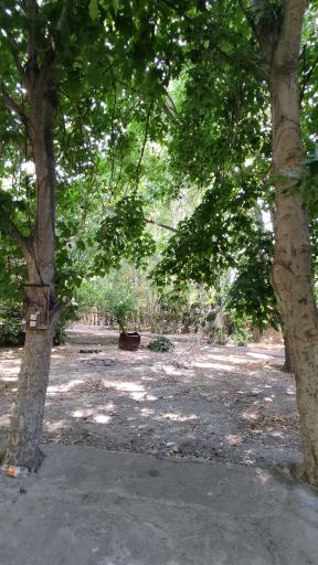 عکس کوشک مرتضی خان