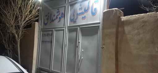 عکس قالیشویی هوشمند افق