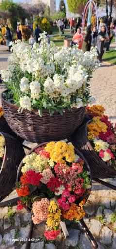 عکس پارک گل‌ها