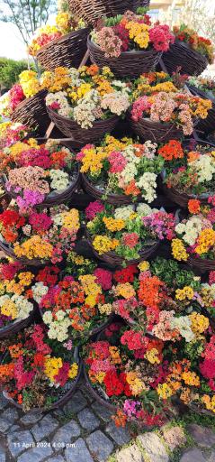 عکس پارک گل‌ها