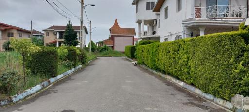 عکس شهرک مسکونی نیلوفر آبی