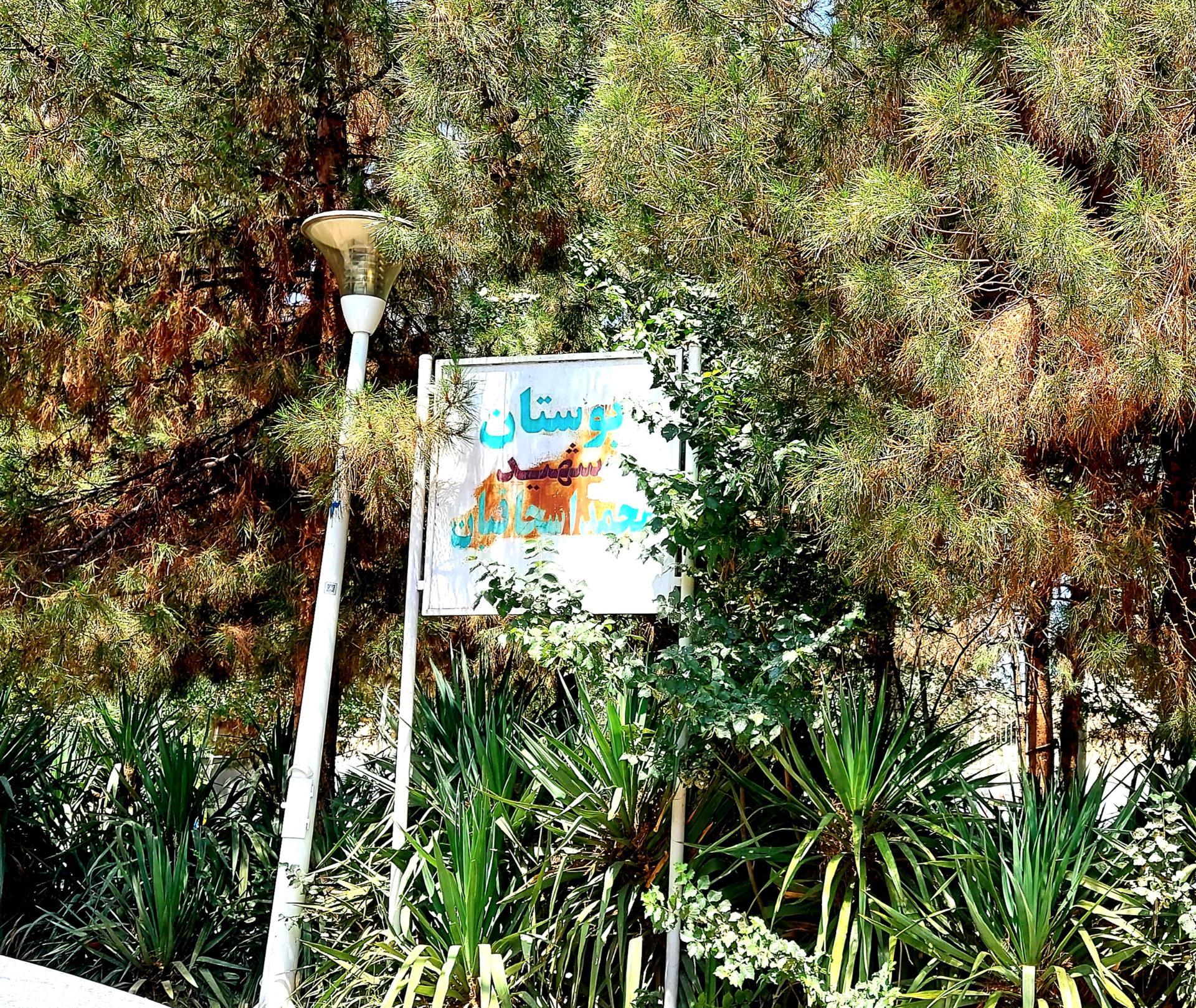 عکس بوستان شهید محمد اسحاقیان