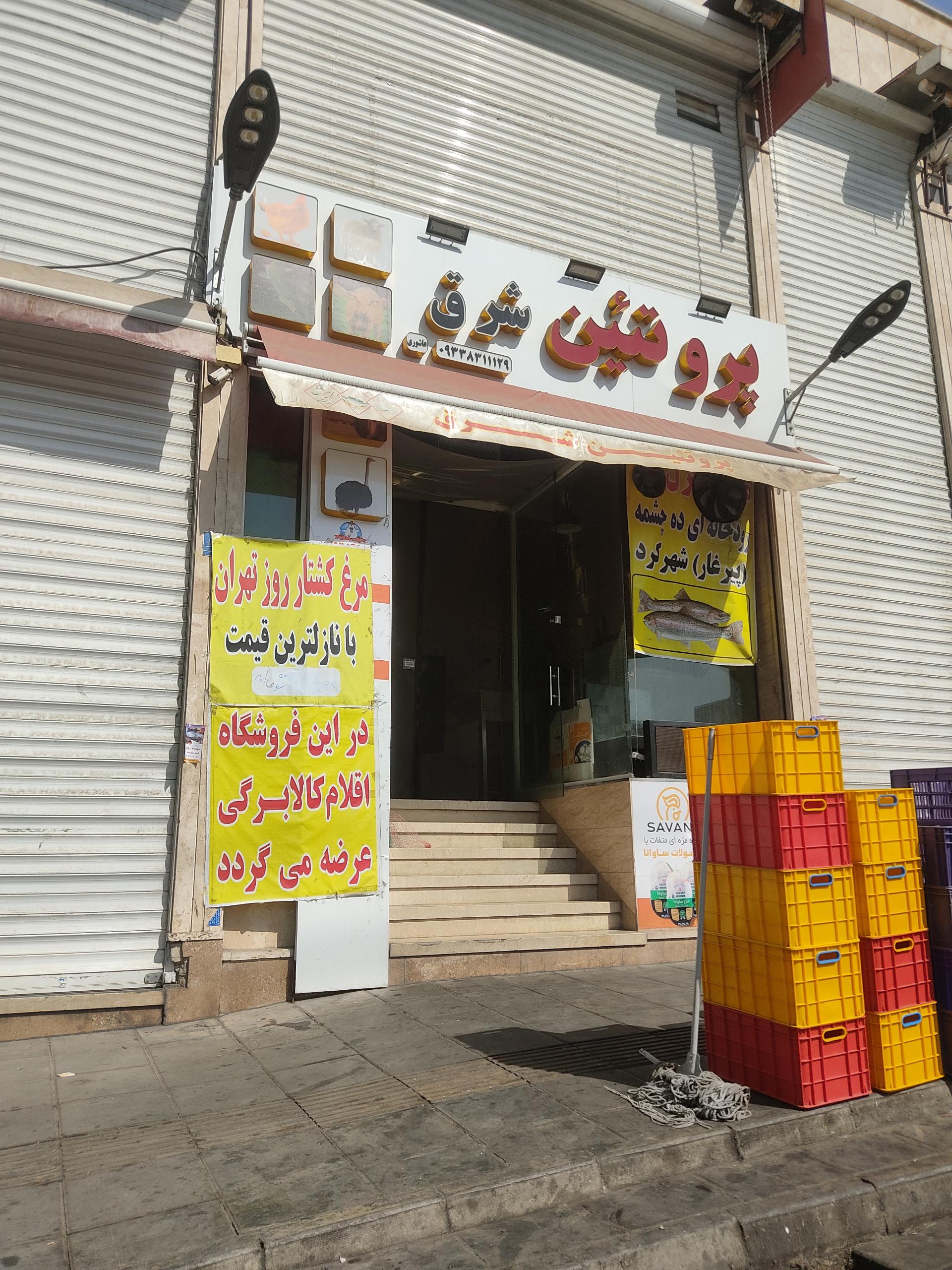 عکس پروتئین شرق گوشت و مرغ و ماهی