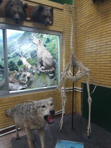 عکس موزه حیات طبیعی