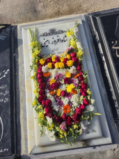 عکس مزار مرحومه شاه افروز امینی 