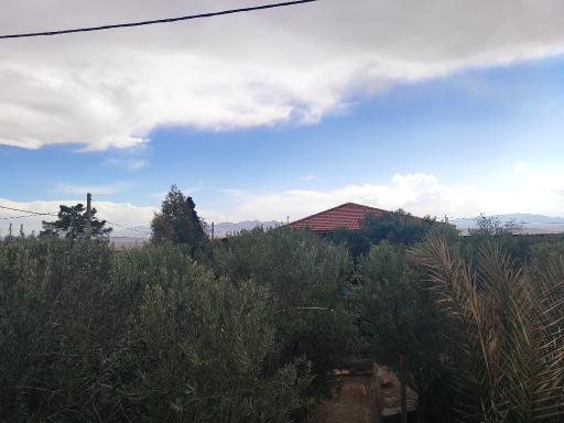 عکس کارخانه روغن کشی زیتون