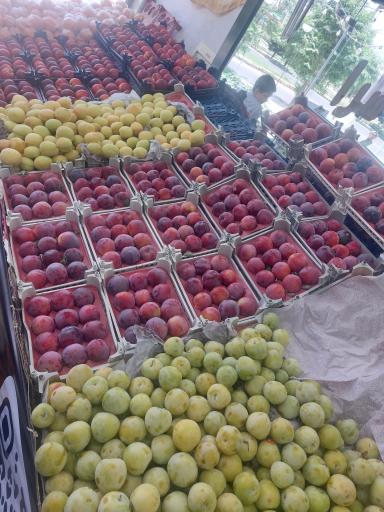عکس میوه سرای الغدیر
