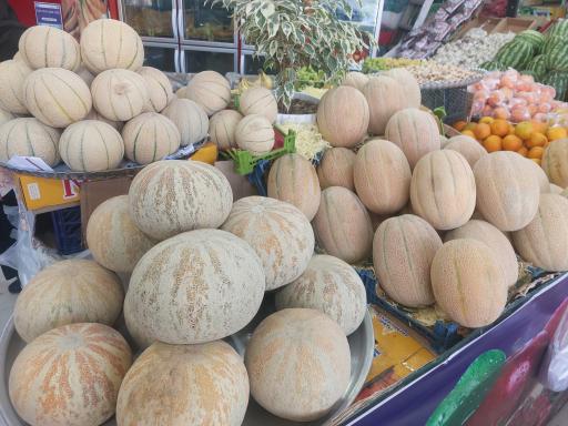 عکس میوه سرای الغدیر