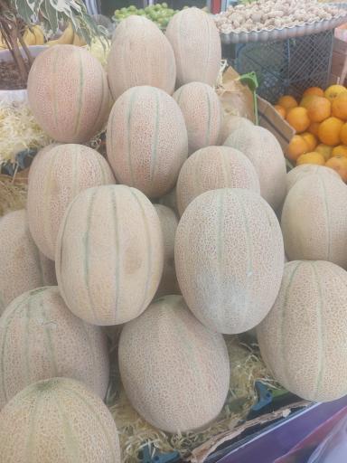 عکس میوه سرای الغدیر