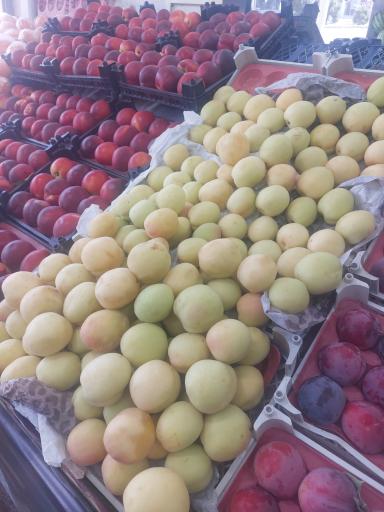 عکس میوه سرای الغدیر
