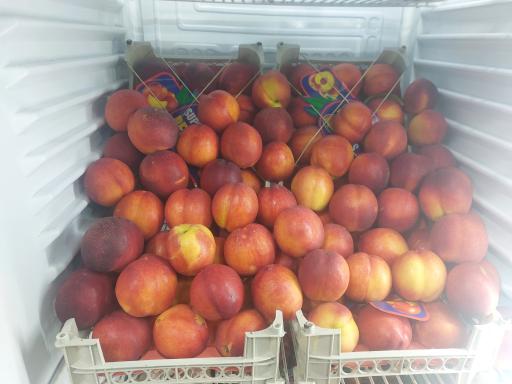 میوه سرای الغدیر